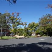 St Ives - Torokina Avenue streetscape