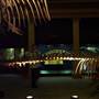 Australian Museum