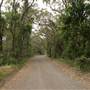 Bass Point Reserve