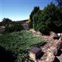 Albury
