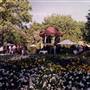 Albury