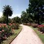 Albury