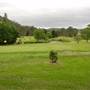 Antill Golf Club