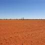 Balranald Area