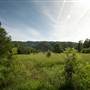 Bellinger Valley
