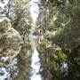 Bellinger Valley