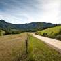 Bellinger Valley