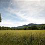 Bellinger Valley