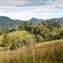 Bellinger Valley