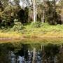 Bellinger Valley