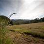 Bellinger Valley