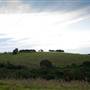 Bellinger Valley