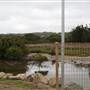 Bermagui