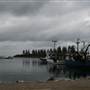 Bermagui