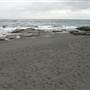 Black Sand Beach, Bass Point Reserve & Shell Cove