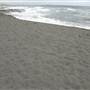 Black Sand Beach, Bass Point Reserve & Shell Cove