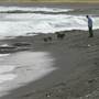 Black Sand Beach, Bass Point Reserve & Shell Cove