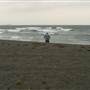 Black Sand Beach, Bass Point Reserve & Shell Cove