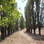 Blayney Area
