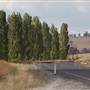Blayney Area