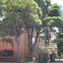 Cabramatta