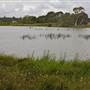 Cecil Hoskins Nature Reserve Moss Vale