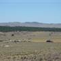 Dalgety/Cooma