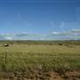 Dalgety/Cooma