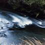 Dangar Falls and Cascades near Dorrigo