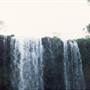 Dangar Falls and Cascades near Dorrigo