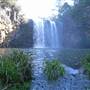 Dangar Falls and Cascades near Dorrigo