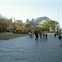 Circular Quay