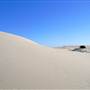 Dark Point Dunes