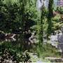 Chinese Garden of Friendship - Darling Harbour