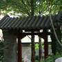 Chinese Garden of Friendship - Darling Harbour