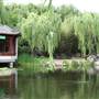 Chinese Garden of Friendship - Darling Harbour