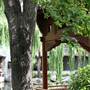 Chinese Garden of Friendship - Darling Harbour