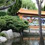 Chinese Garden of Friendship - Darling Harbour