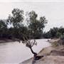 Darling River