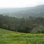 Jamberoo Farm