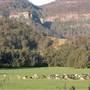 Kangaroo Valley
