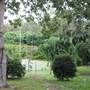 Bamboo Wholesale
