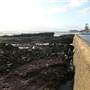 Kiama - Rock Pool North