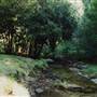 Deep Creek Reserve