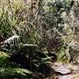 Deep Creek Reserve