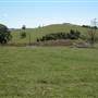 Dorrigo - General