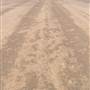 Lake Cargelligo Airstrip