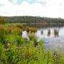 Lake Yarrunga