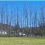 Private House - Cliftonville