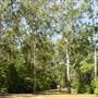 Lane Cove National Park